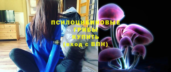 стаф Алексин