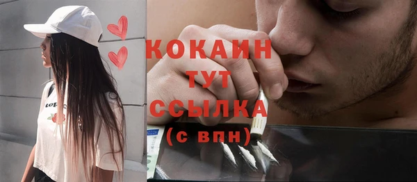 твердый Алзамай