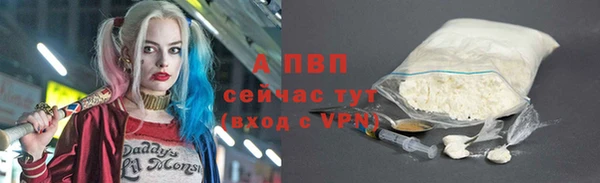 стаф Алексин