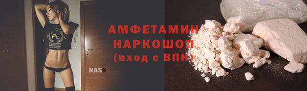 стаф Алексин