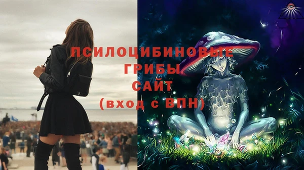 стаф Алексин