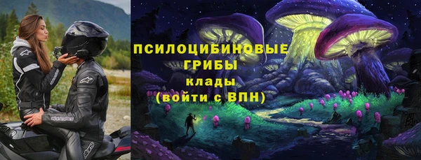 твердый Алзамай